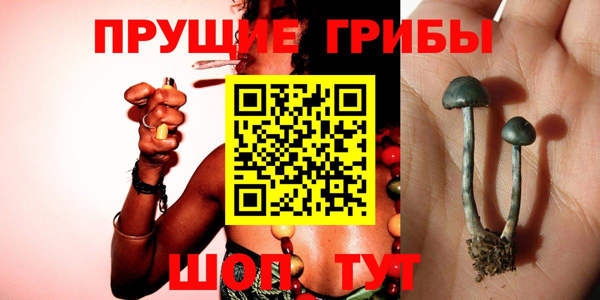 Псилоцибиновые грибы мицелий Кохма