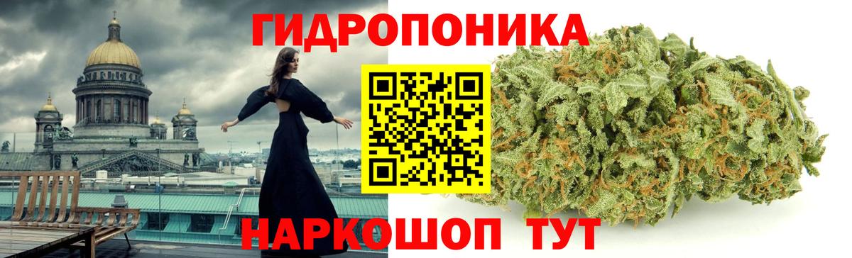 Кохма  МАРИХУАНА AK-47  Канабис THC 21%  Бошки марихуана THC 21%  Вход с VPN  Марихуана гибрид 